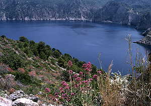 LEICA R8, ELMARIT-R 9cm 1:2,8